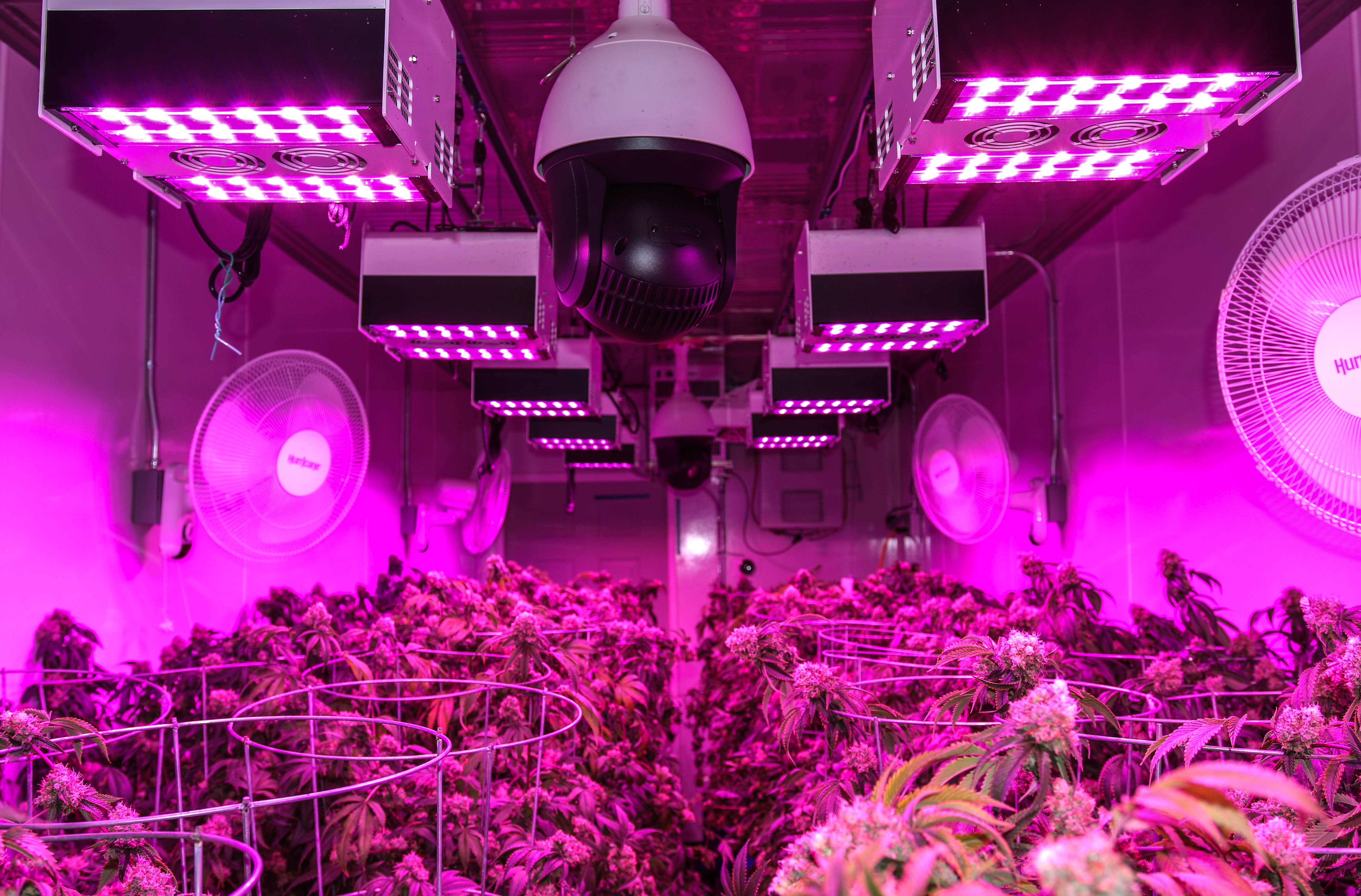 082A8470 Micro Lab Farms