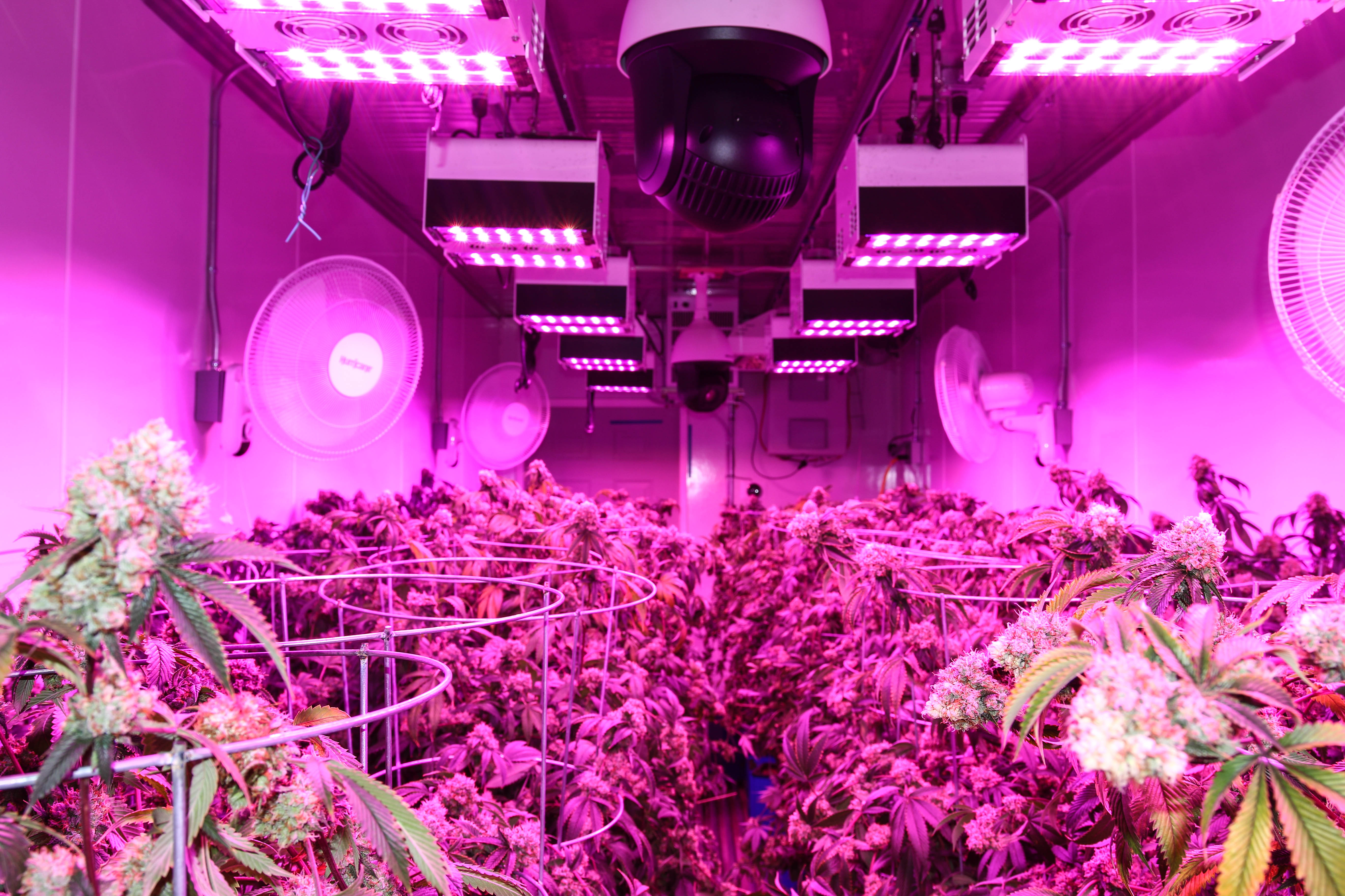 082A8485 Micro Lab Farms