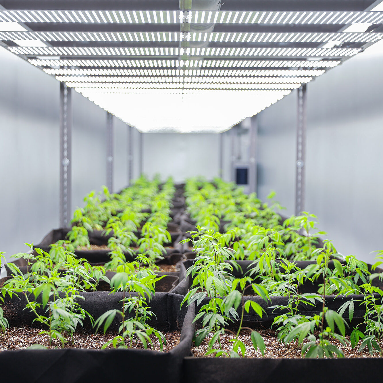 https://www.microlabfarms.com/wp-content/uploads/bb-plugin/cache/grow-cannabis-in-shipping-container-farms-micro-lab-farms-square.jpg